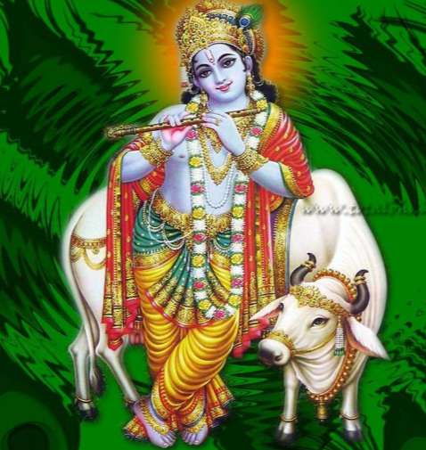 Lord Krishna images