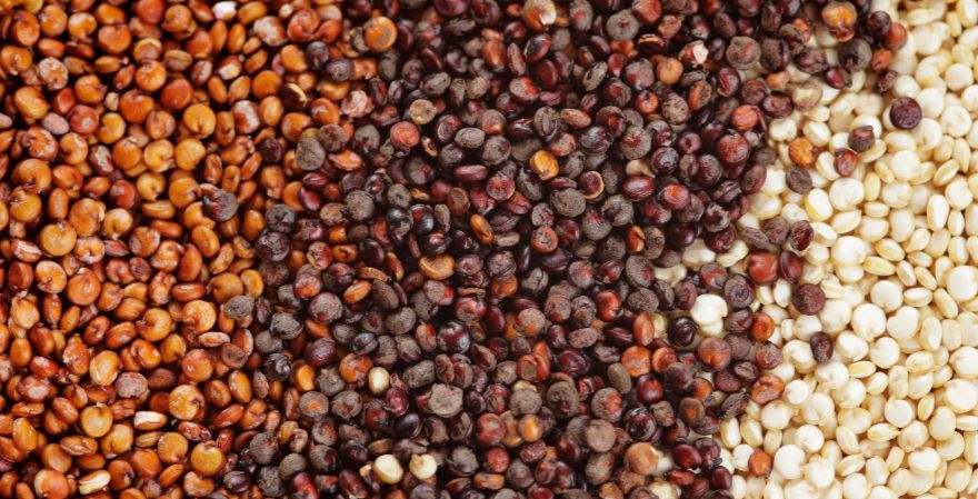 Benefits with What is Quinoa in Hindi