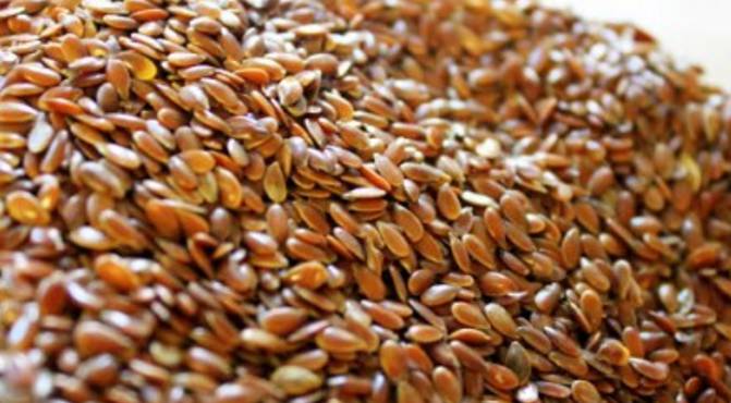Flax Seeds in Hindi जाने 11 अलसी के फायदे हिंदी में