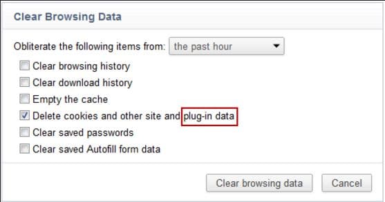 clearbrowserdata