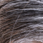 सफेद बाल का उपचार में अश्वगंधा शतावरी के फायदे