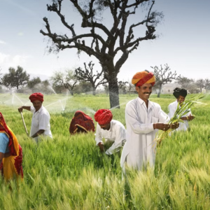 Rajasthan Agriculture Supervisor Vacancy